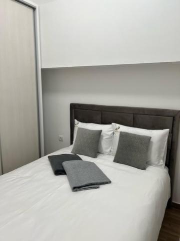 Centar Ns 5 Apartment Novi Sad Exterior foto