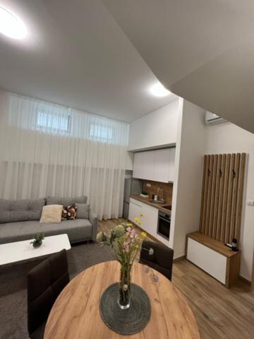 Centar Ns 5 Apartment Novi Sad Exterior foto