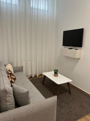 Centar Ns 5 Apartment Novi Sad Exterior foto